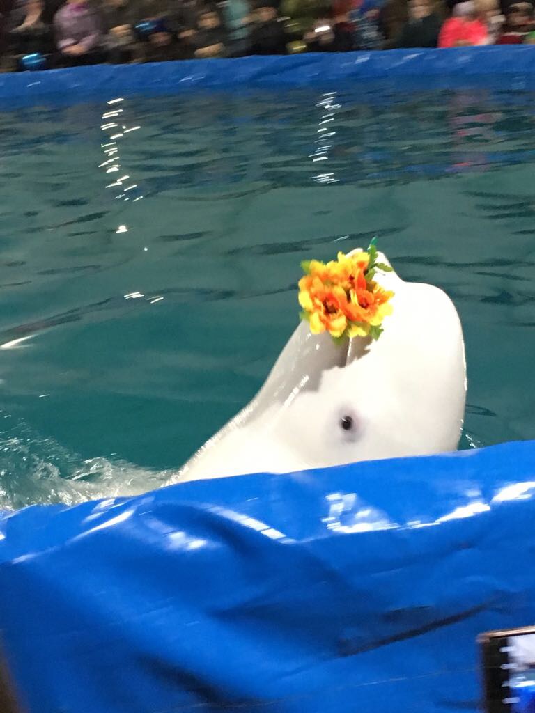 Морская сказка